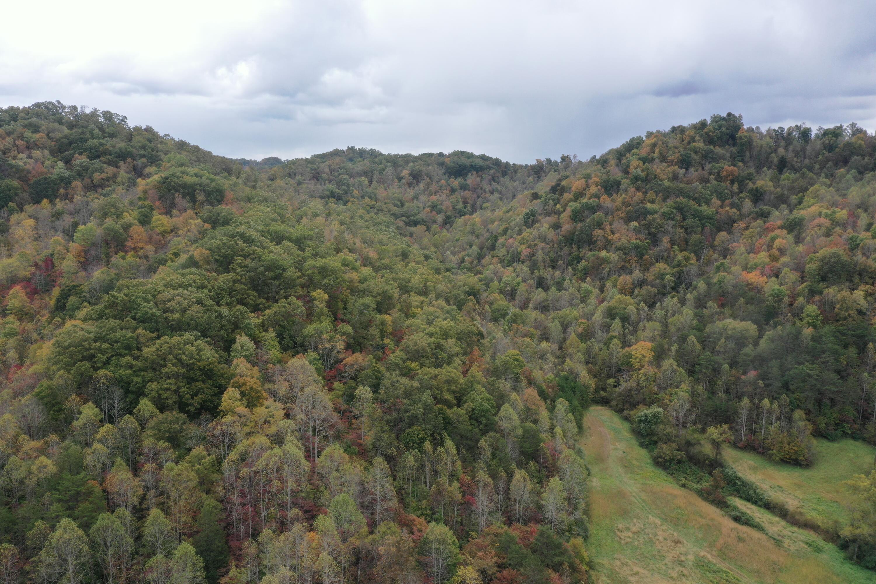 198 Crawford Isom Road Manchester, KY 40962 - Photo 20 of 23 unsc1255