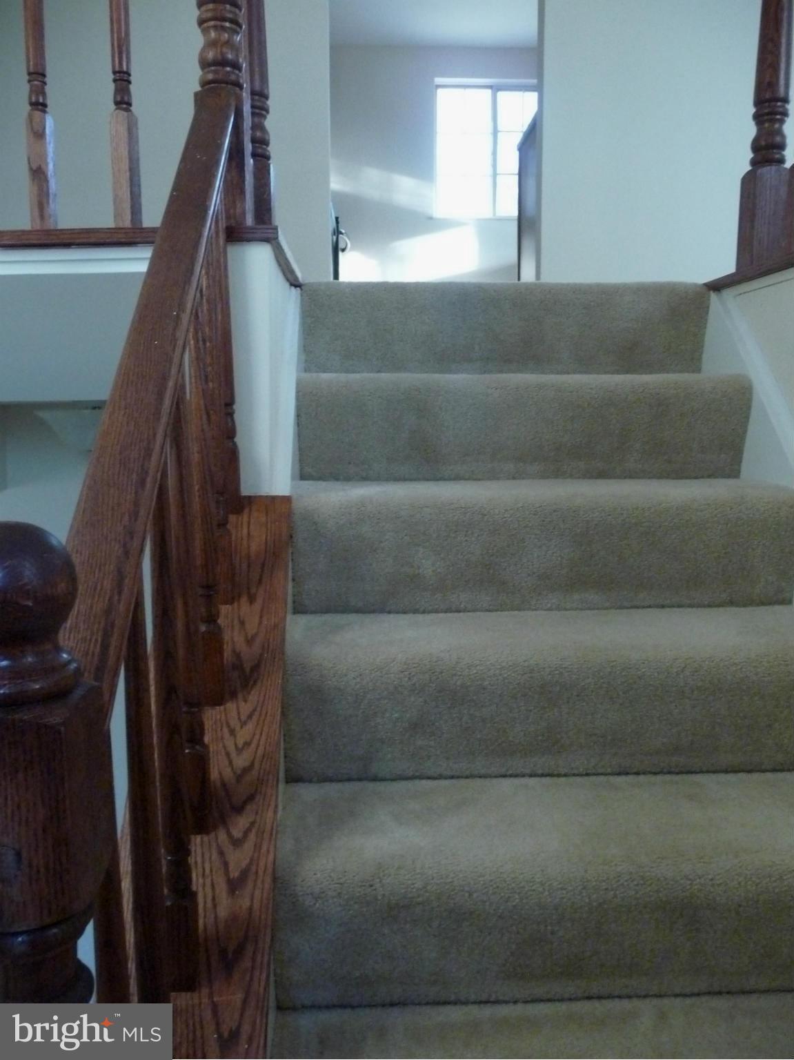 138 Magnolia Road Sterling, VA 20164 - Photo 14 of 22 Stairs to Basement