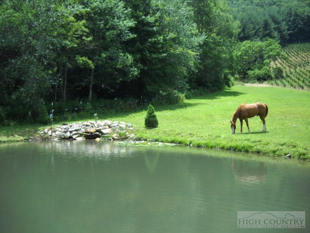 225 Joe Hampton Road Lansing, NC 28643 - Photo 11 of 26