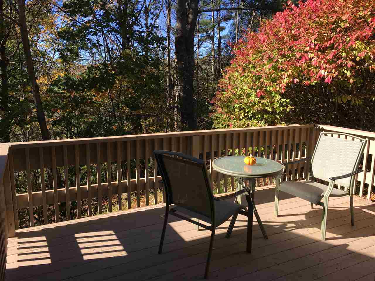 385 Lyman Batcheller Road, Unit 6B Hartford, VT 05059 - Photo 11 of 17 Gallery Image 11