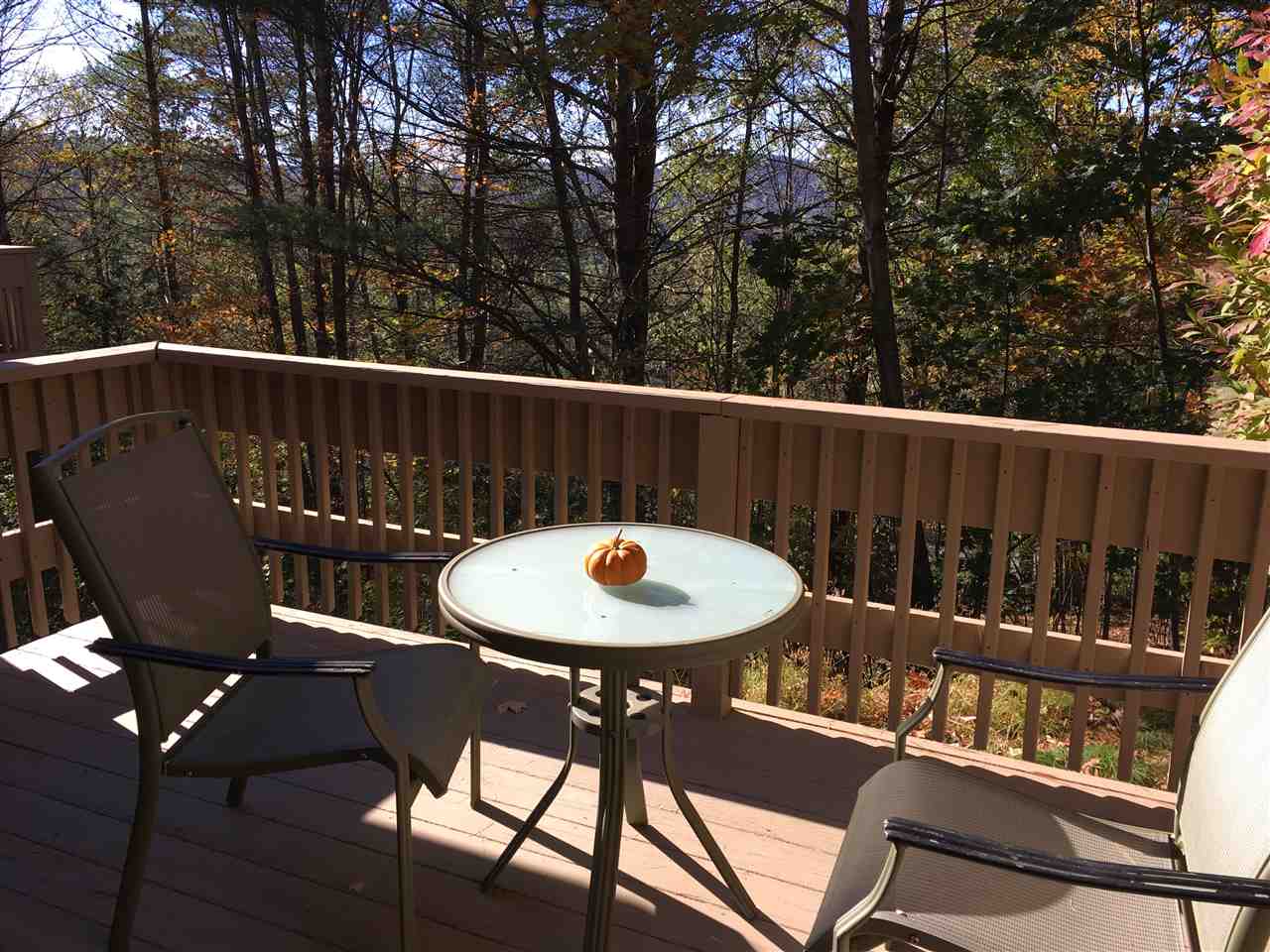 385 Lyman Batcheller Road, Unit 6B Hartford, VT 05059 - Photo 12 of 17 Gallery Image 12