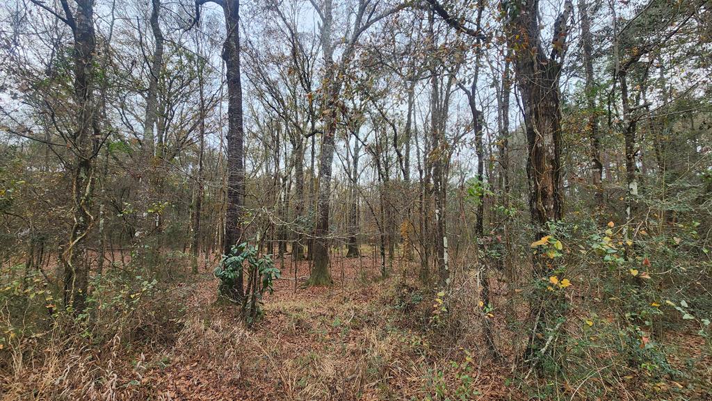 15.05 Pera Road Samson, AL 36477 - Photo 20 of 29
