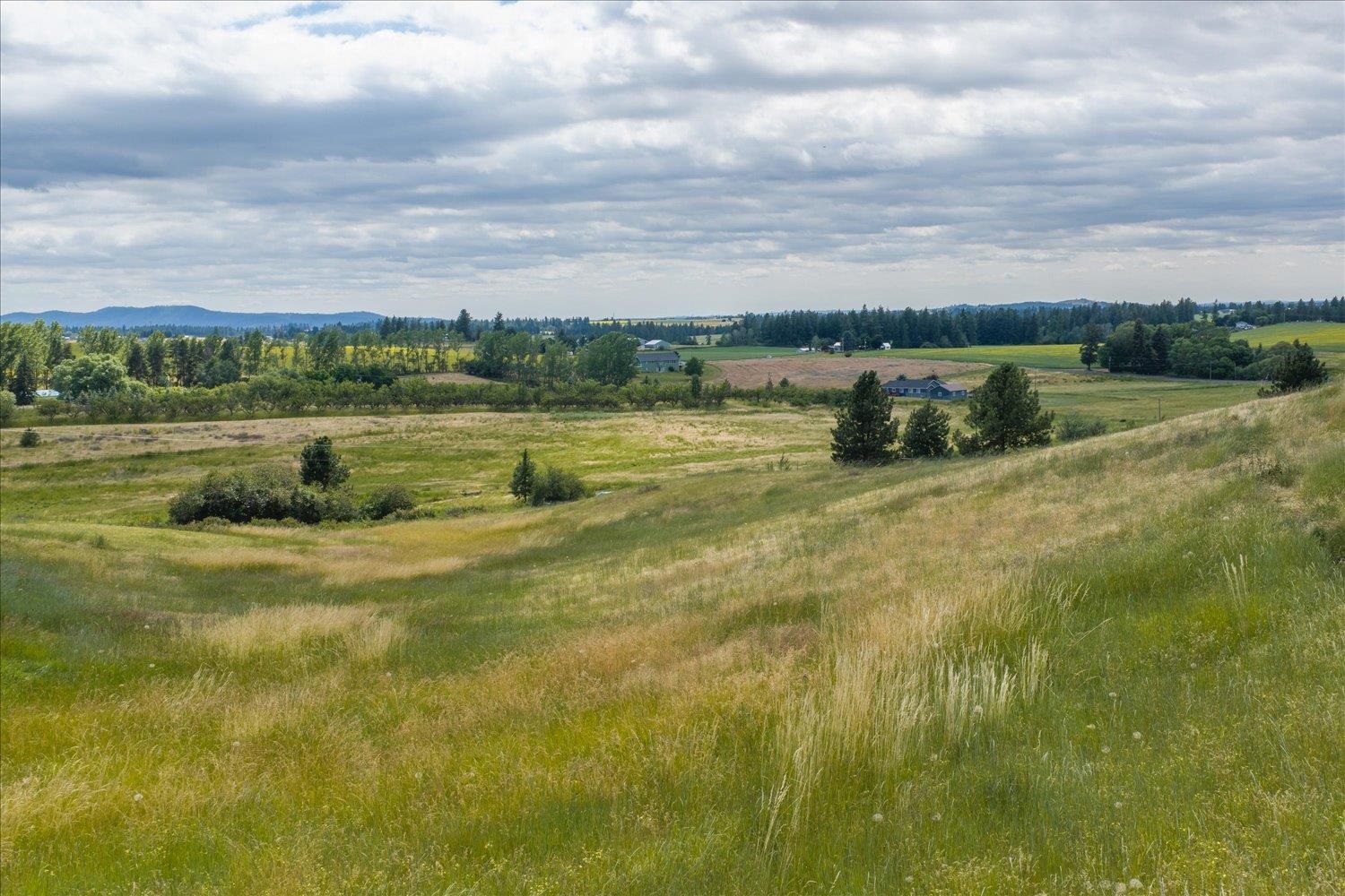 15927 East Macmahan Road Spokane, WA 99217 - Photo 46 of 47