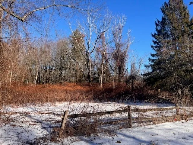 a view of backyard with green space