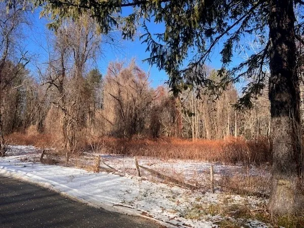 a view of yard