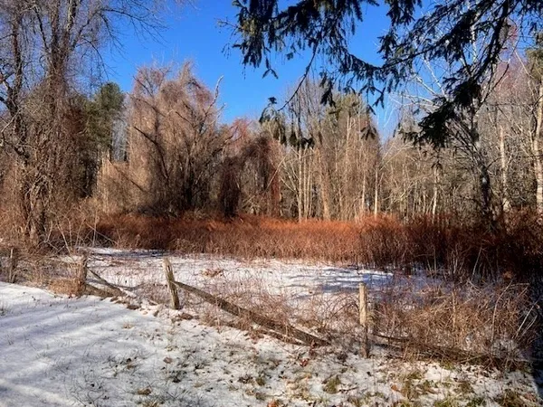a view of a yard with trees