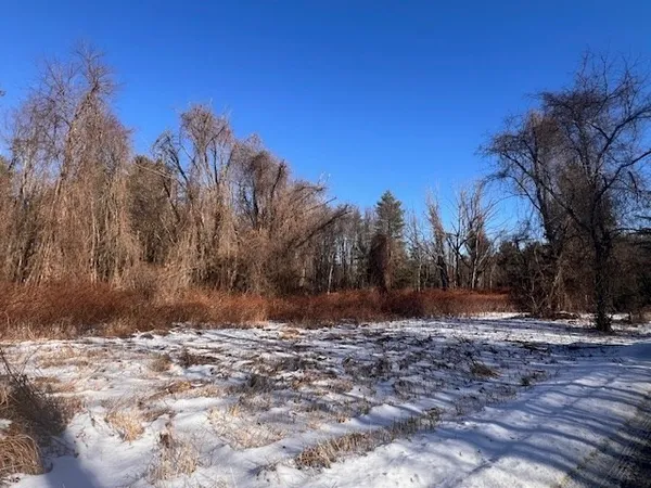 a view of outdoor space with trees