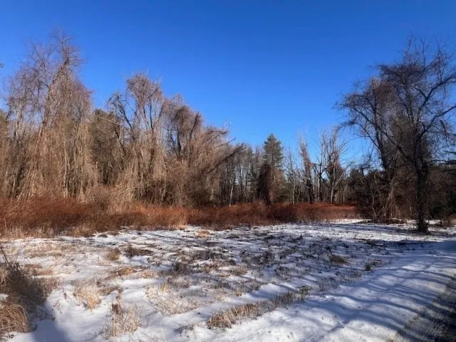 a view of outdoor space with trees