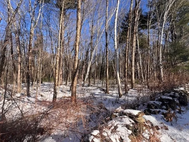 a view of outdoor space with trees