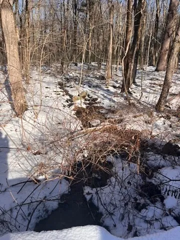a view of house with yard