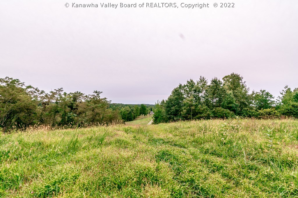0 Jim Ridge Road Pleasureville, KY 40057 - Photo 14 of 18 Gallery Image 14