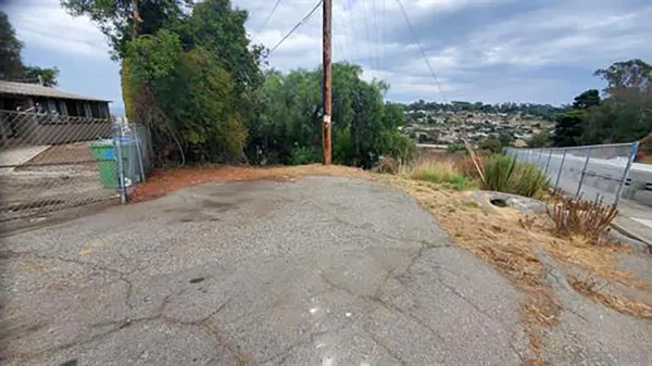 a lake view with a large trees