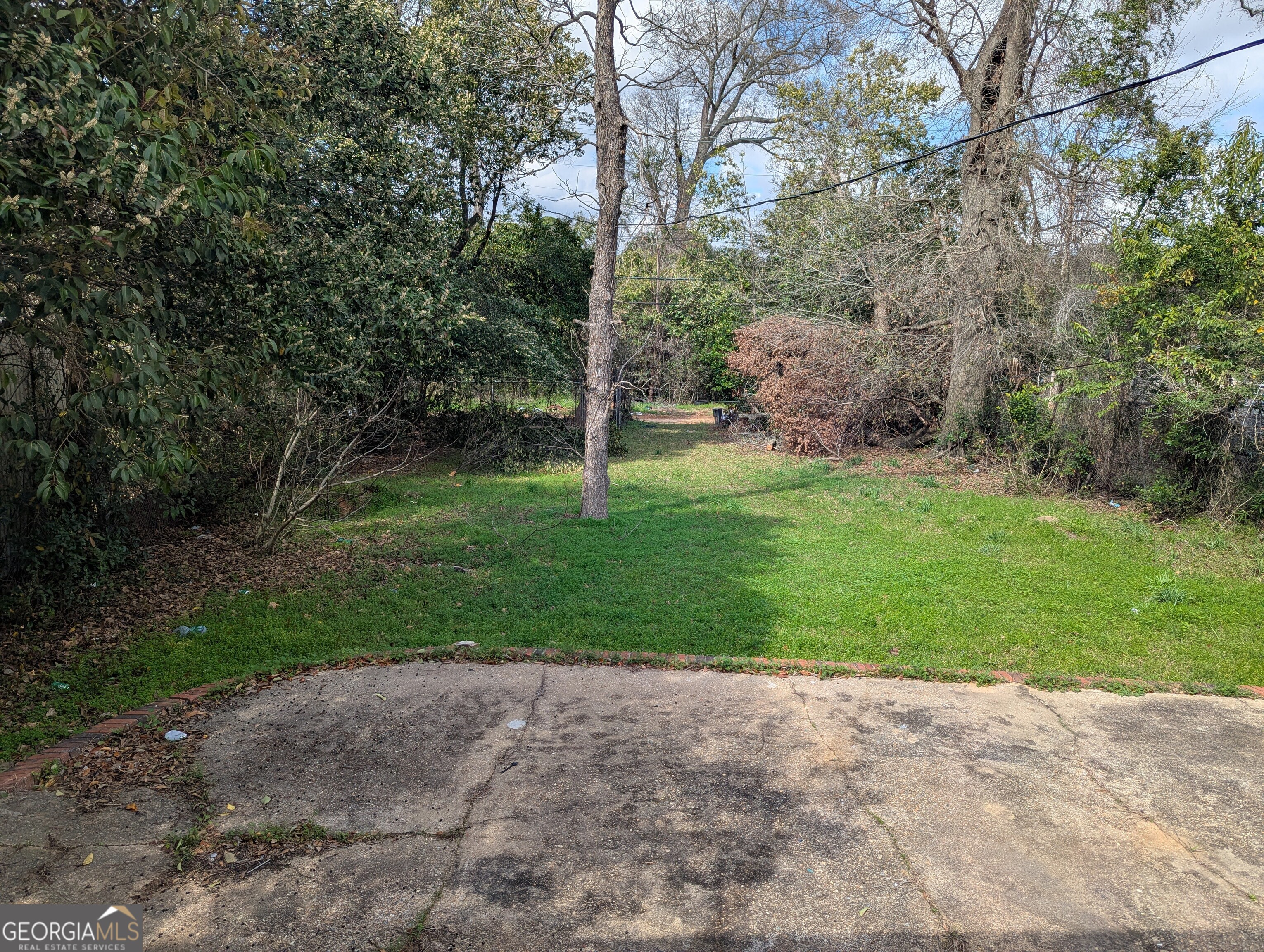 611 West Whitney Avenue Albany, GA 31701 - Photo 15 of 15 a view of a park with large trees