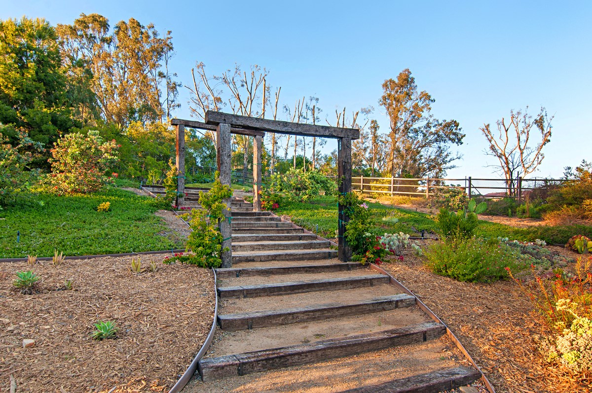 17508 Rancho Del Rio Rancho Santa Fe, CA 92067 - Photo 22 of 25