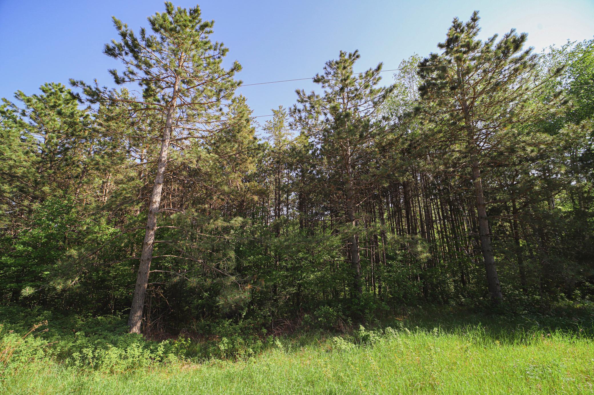 Xxx Hay Creek Road Fort Ripley, MN 56449 - Photo 2 of 8 Gallery Image 2