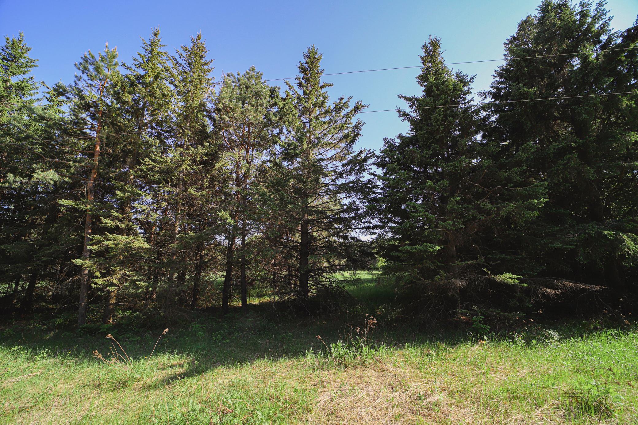 Xxx Hay Creek Road Fort Ripley, MN 56449 - Photo 3 of 8 Gallery Image 3