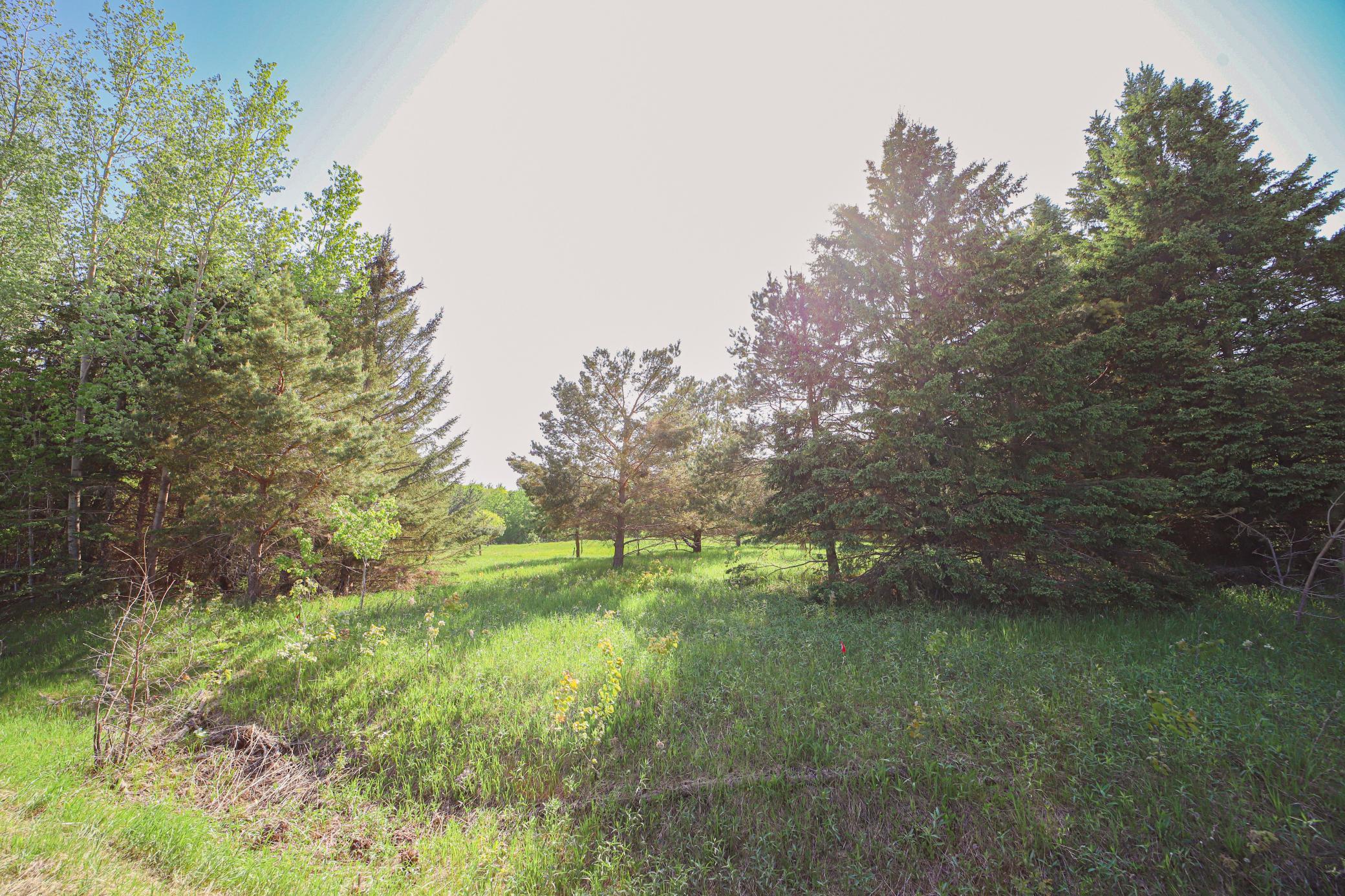 Xxx Hay Creek Road Fort Ripley, MN 56449 - Photo 5 of 8 Gallery Image 5