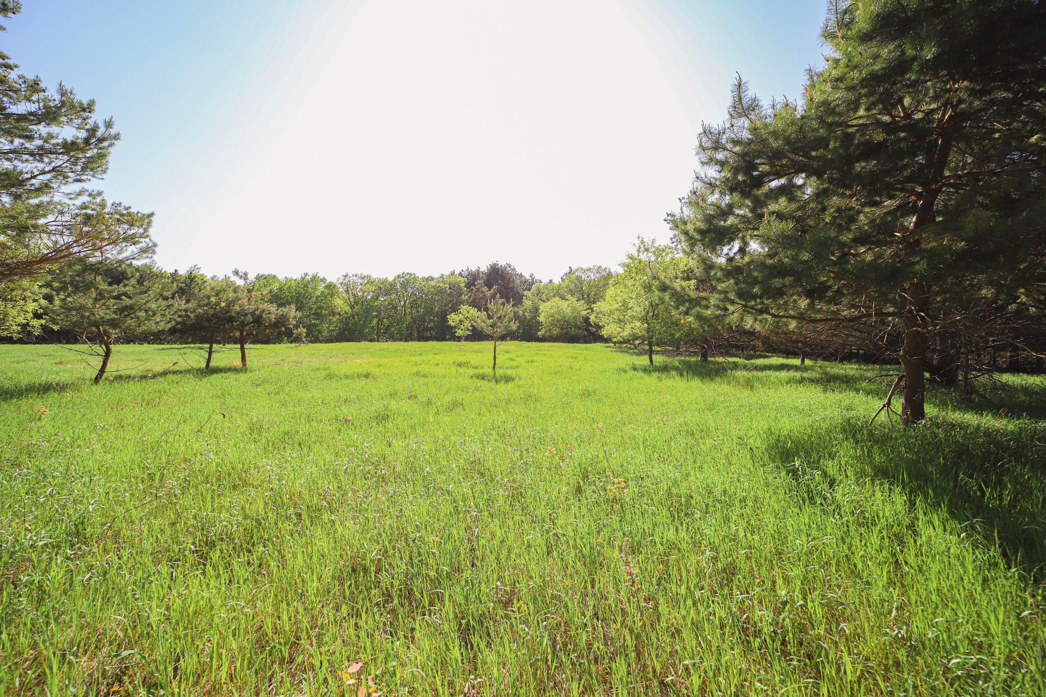 Xxx Hay Creek Road Fort Ripley, MN 56449 - Photo 6 of 8 Gallery Image 6