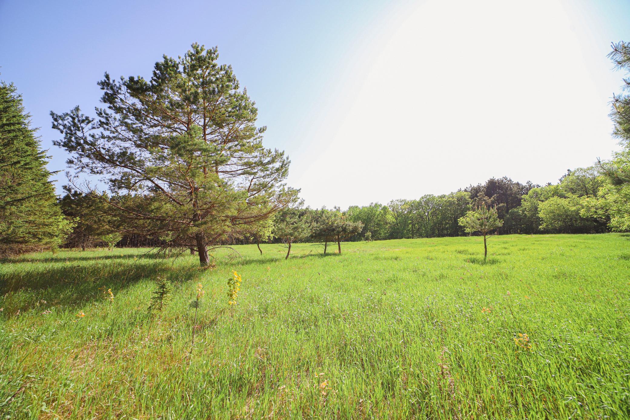 Xxx Hay Creek Road Fort Ripley, MN 56449 - Photo 7 of 8 Gallery Image 7
