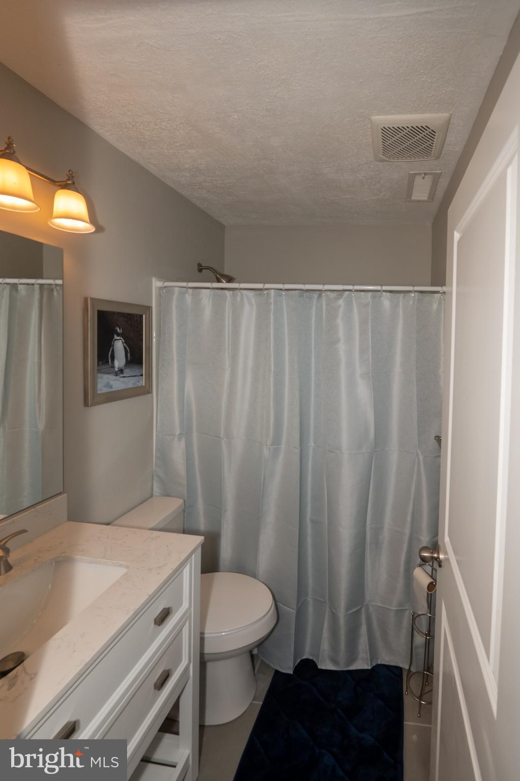31091 Carioca Road Delmar, MD 21875 - Photo 20 of 28 a bathroom with a sink toilet and shower
