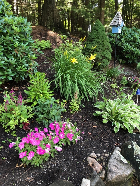 105 Flint Farm Road Middleton, MA 01949 - Photo 22 of 25 a view of a flower in a garden
