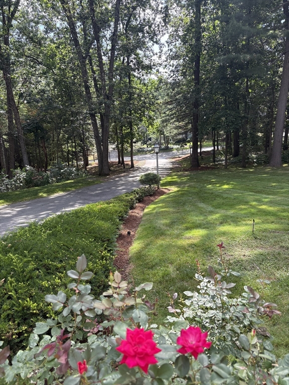 105 Flint Farm Road Middleton, MA 01949 - Photo 24 of 25 a view of a tree in front of a house