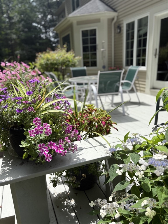 105 Flint Farm Road Middleton, MA 01949 - Photo 25 of 25 a front view of a house with lots of flowers