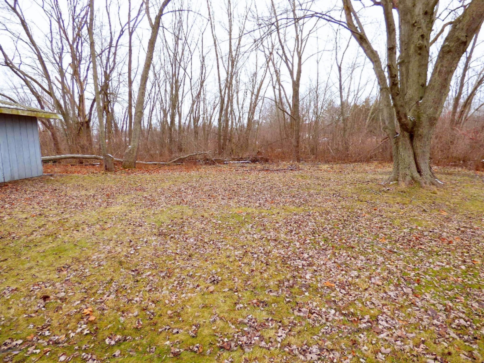 12802 Flynn Road Sawyer, MI 49125 - Photo 5 of 26 12802_FlynnRd_05