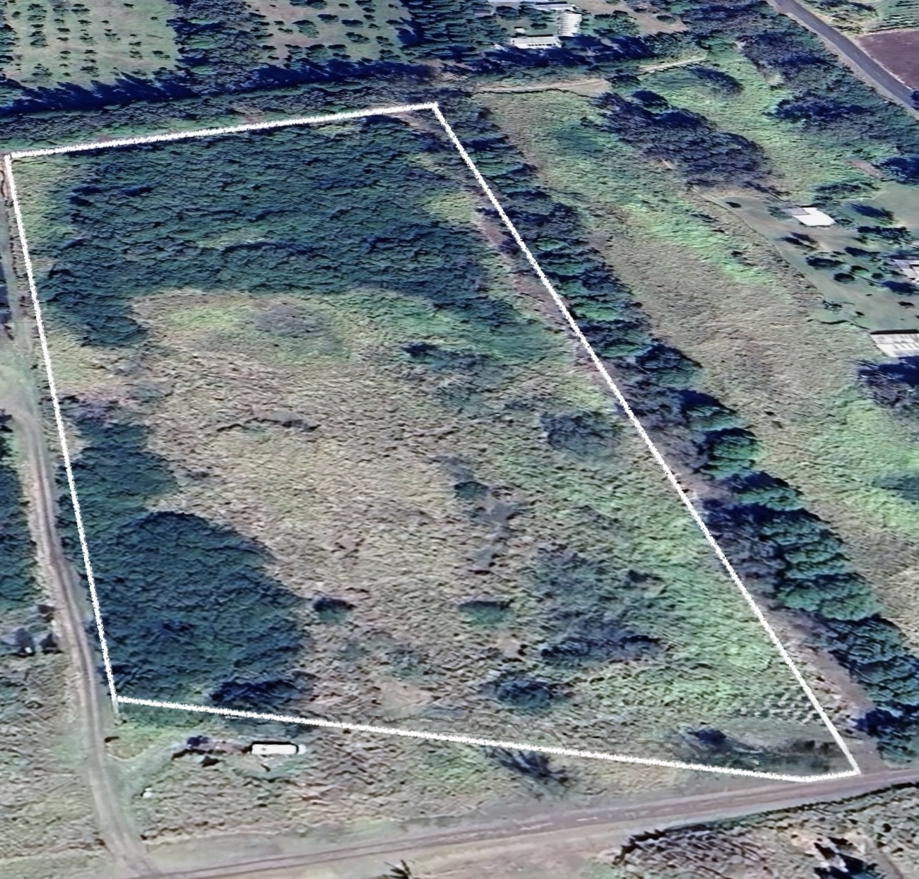 a view of a yard with wooden stairs