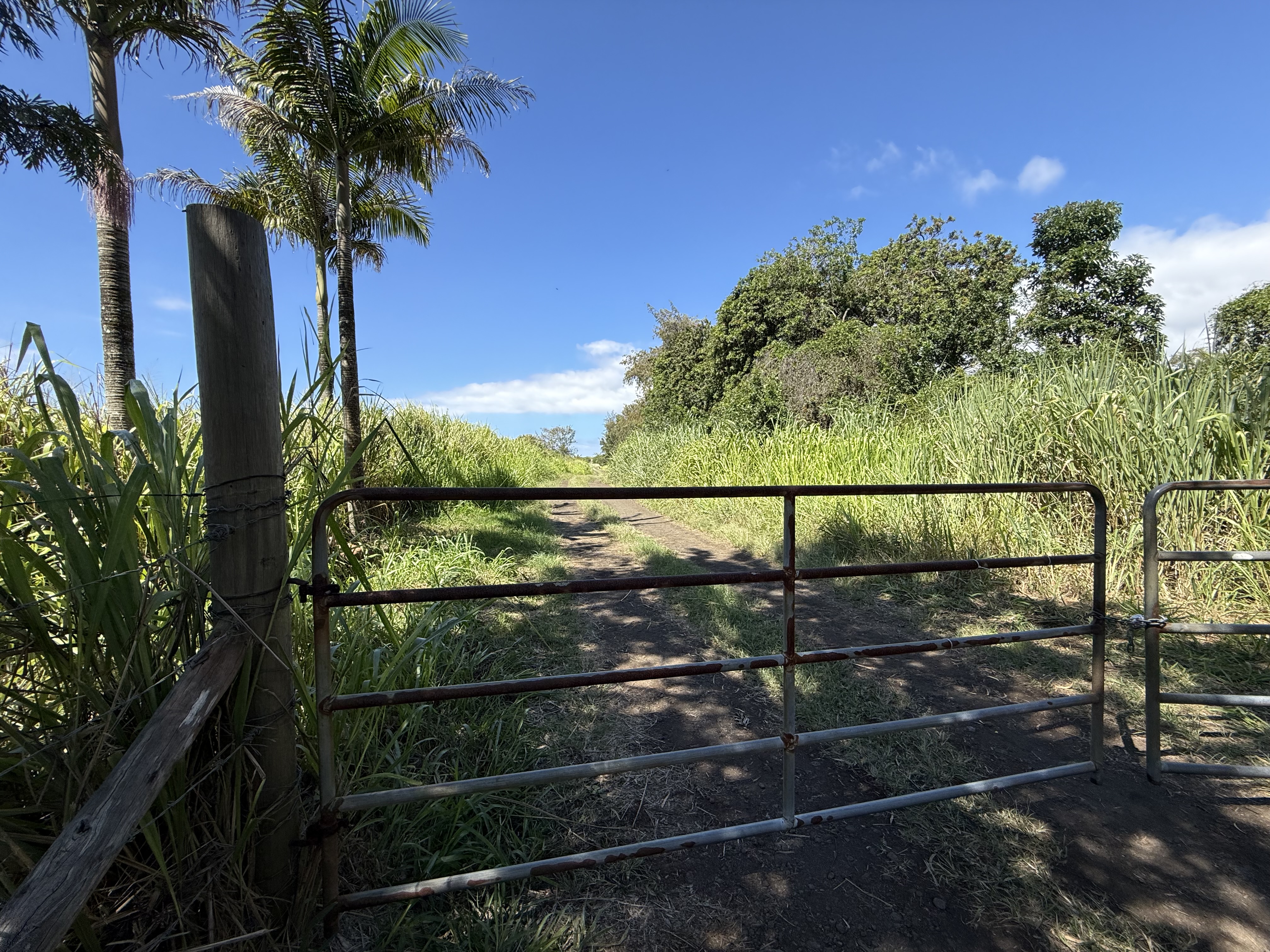 Kai Makani Place Captain Cook, HI 96704 - Photo 12 of 16 a view of a house with a tree