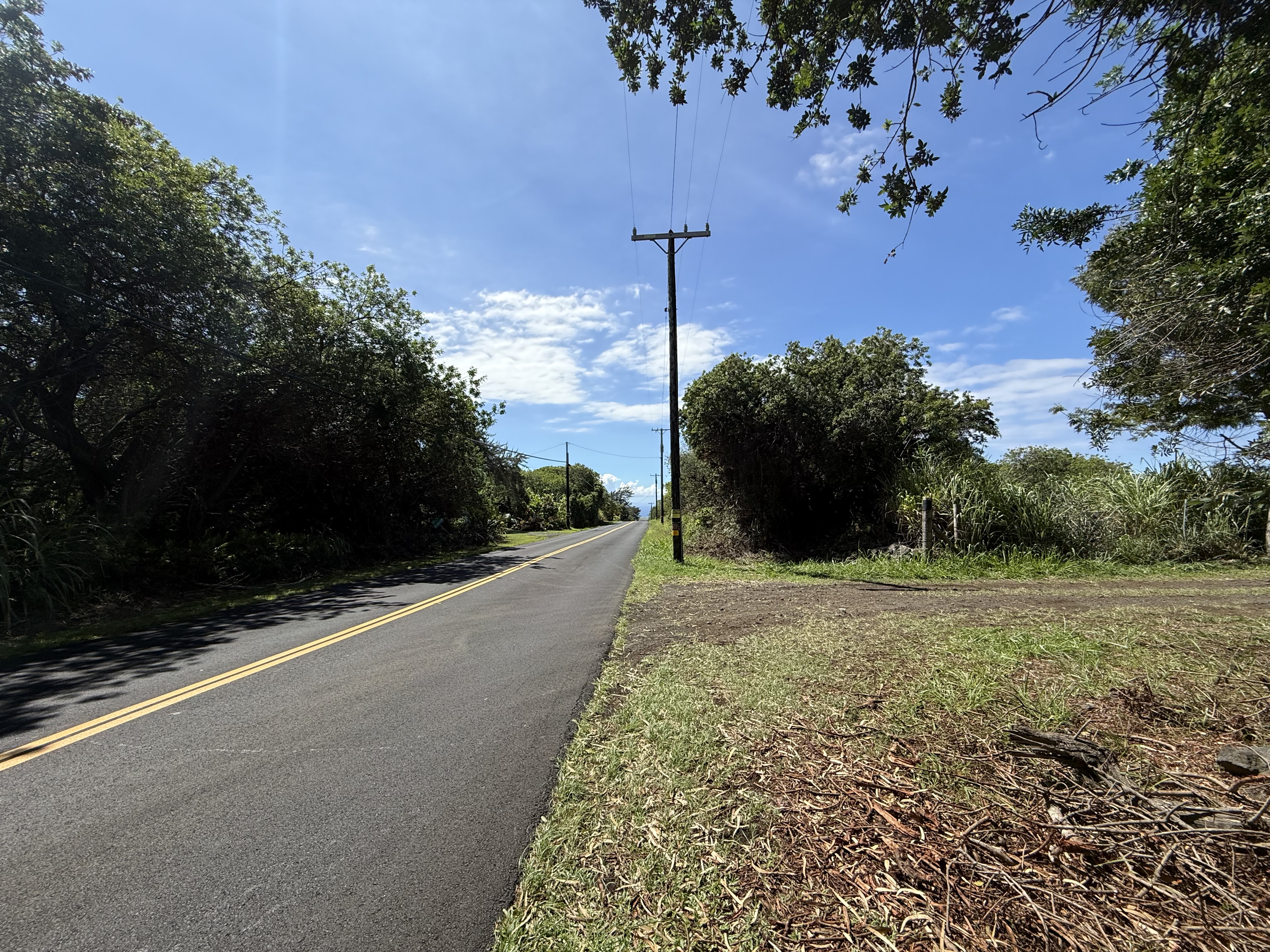 Kai Makani Place Captain Cook, HI 96704 - Photo 14 of 16 a view of a yard