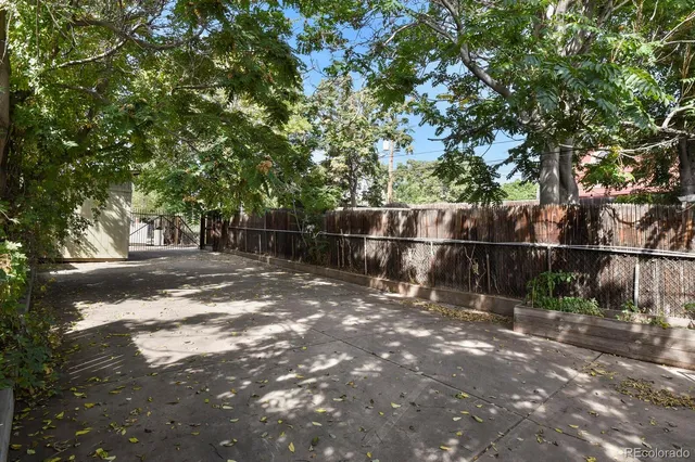 a view of a yard with plants and trees