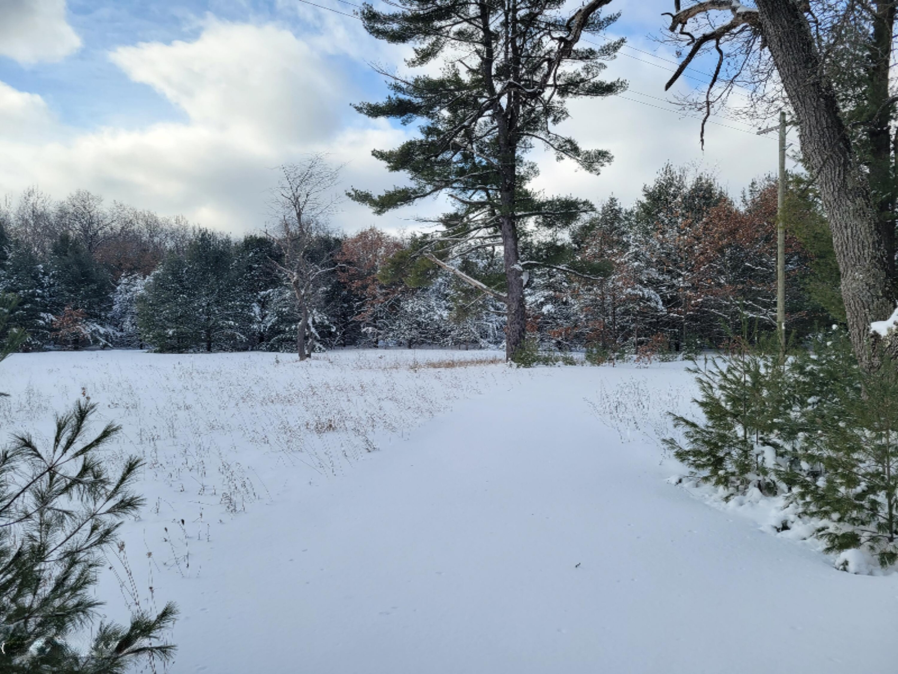 Cutler Road Newaygo, MI 49337 - Photo 2 of 7 Cutler Rd