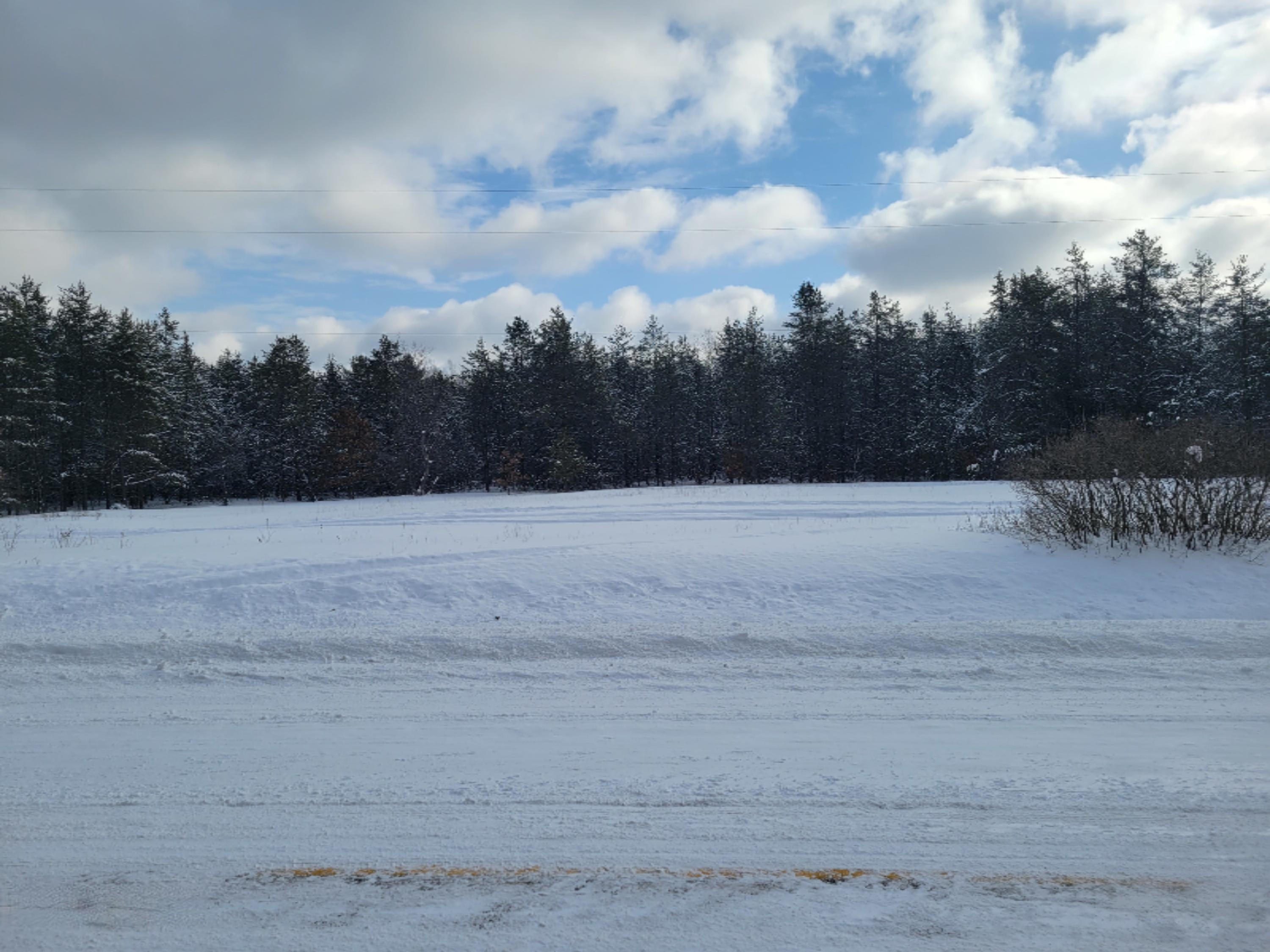 Cutler Road Newaygo, MI 49337 - Photo 5 of 7 20210208_104056