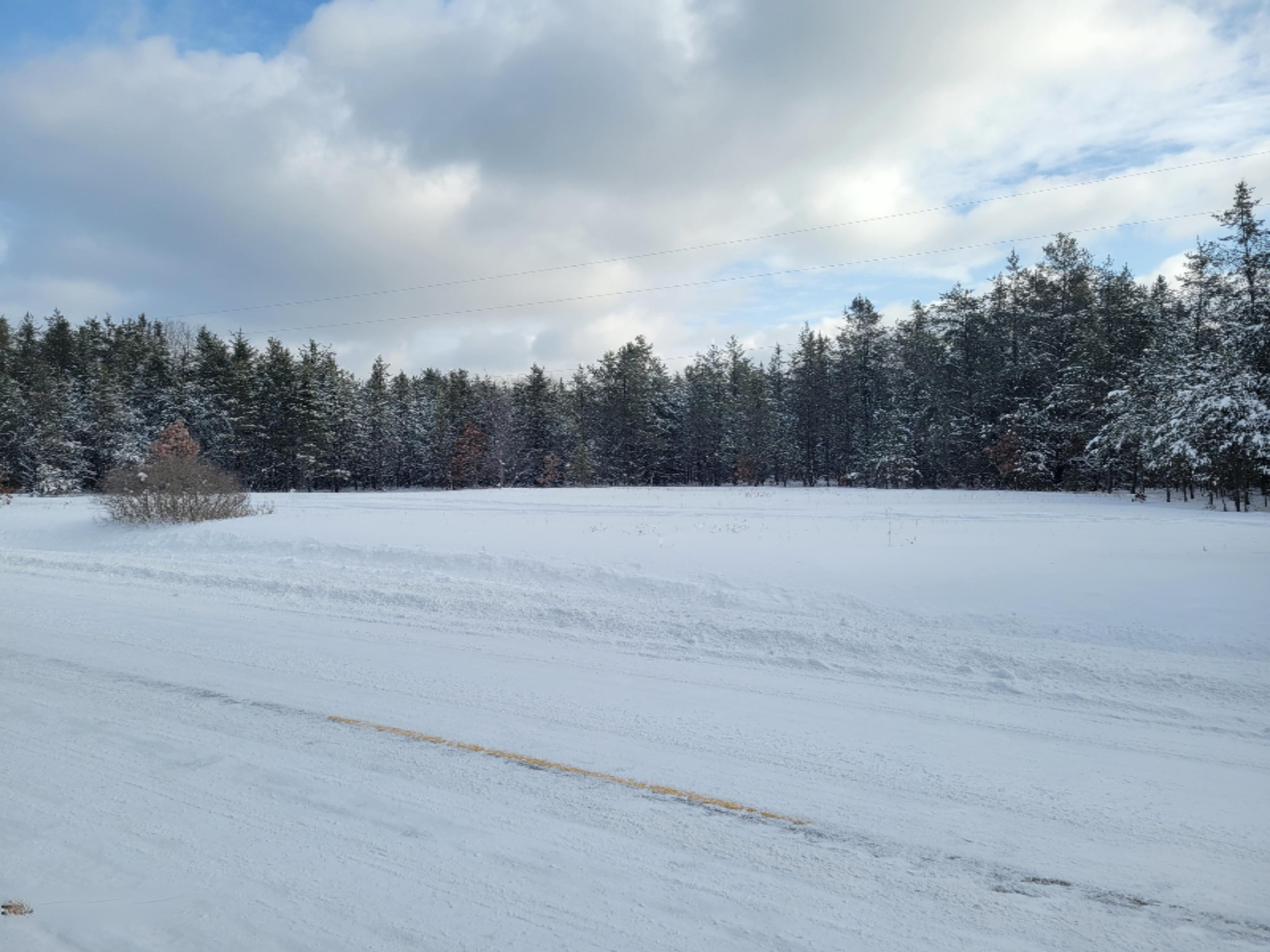 Cutler Road Newaygo, MI 49337 - Photo 6 of 7 20210208_104150