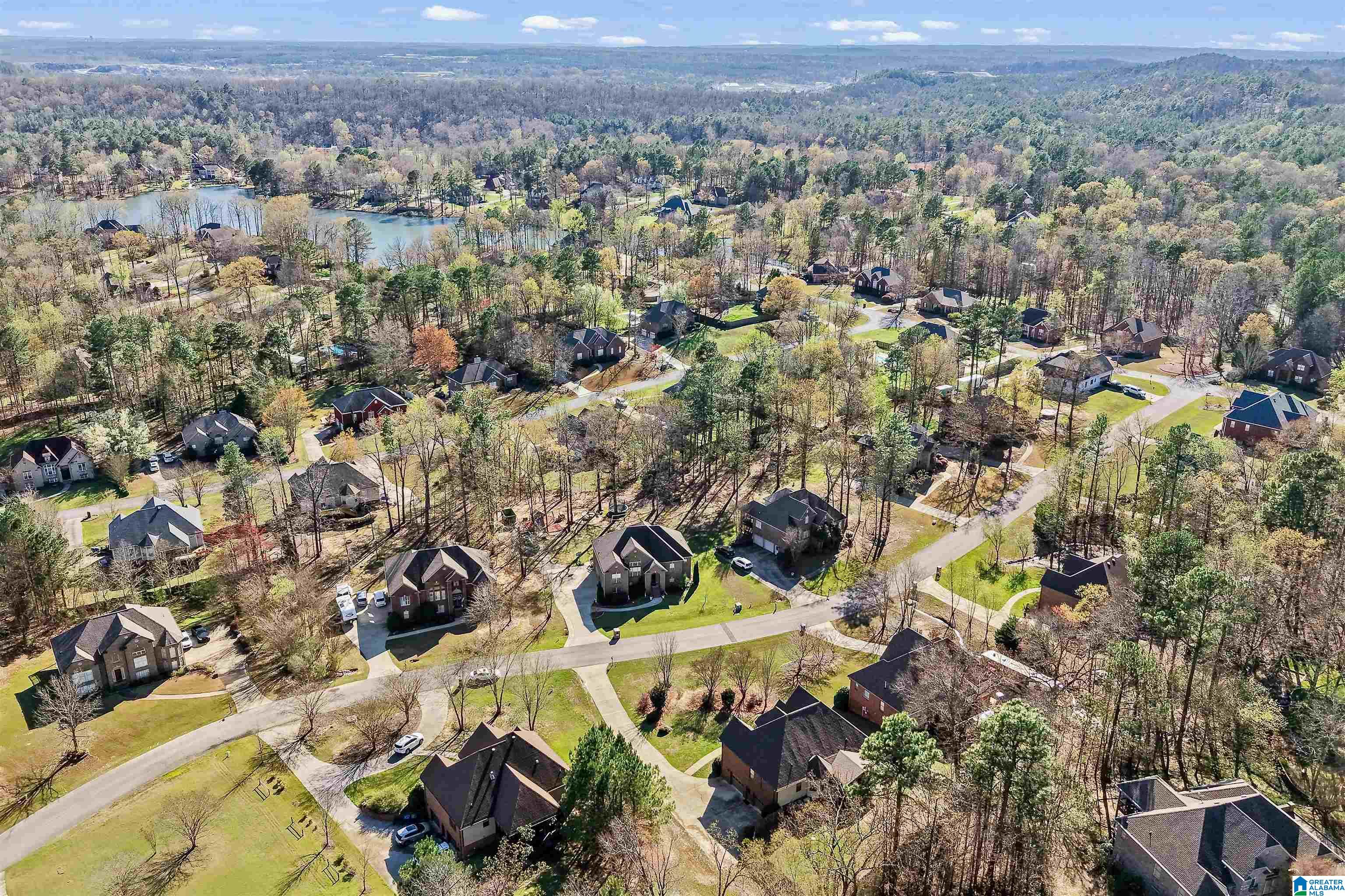 236 Thoroughbred Lane Alabaster, AL 35007 - Photo 8 of 68