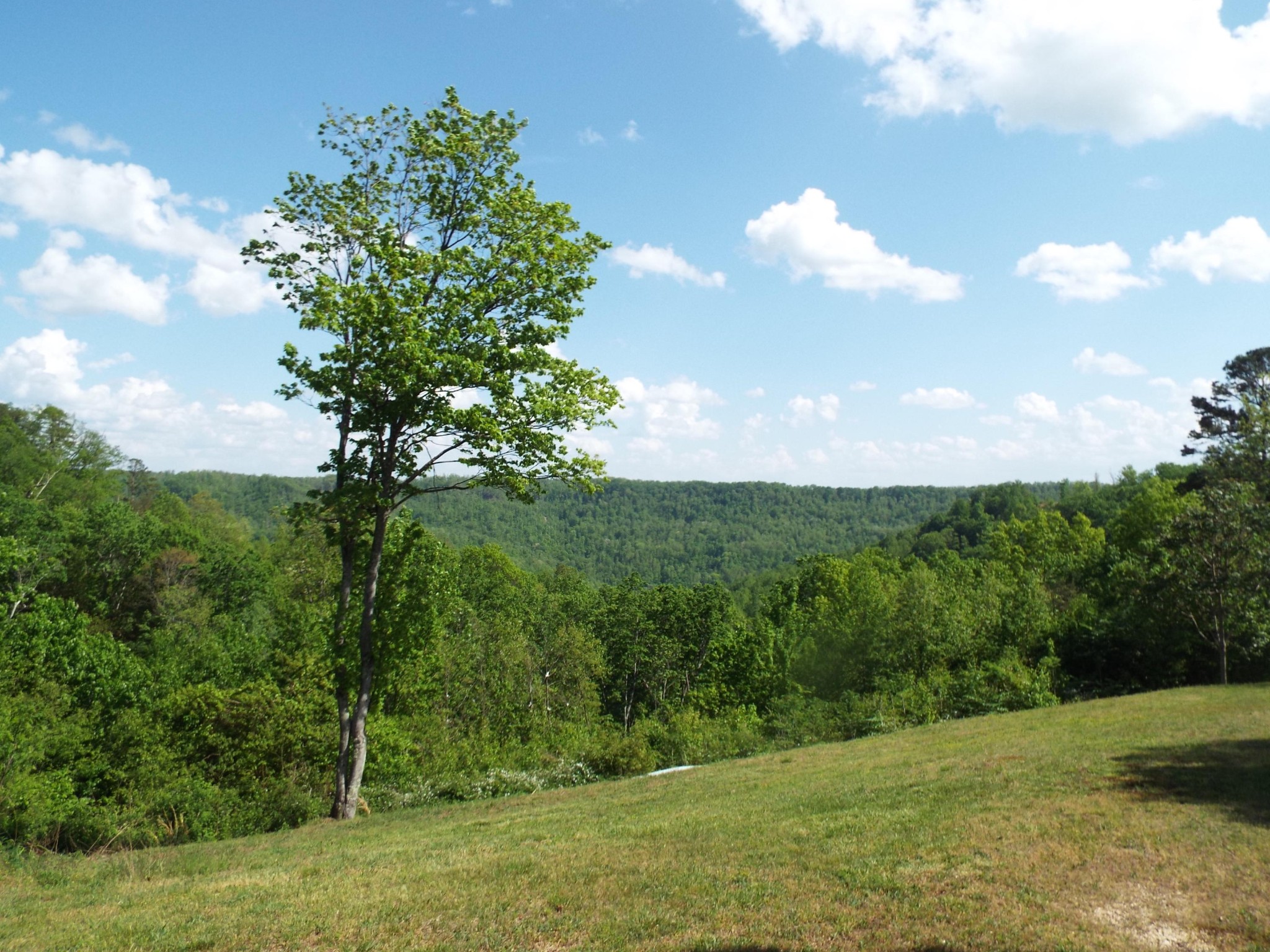 2255 Doubletop Road Jamestown, TN 38556 - Photo 24 of 24 Gallery Image 24