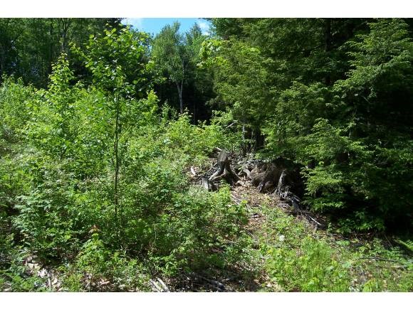 8-122-2 Clark Hill Road New Boston, NH 03070 - Photo 1 of 3