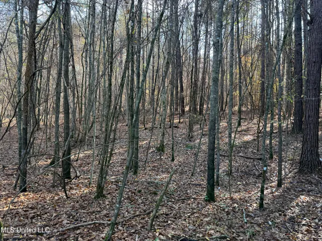 $492,000 | 0 Greenland Road, Little Rock, MS 39337