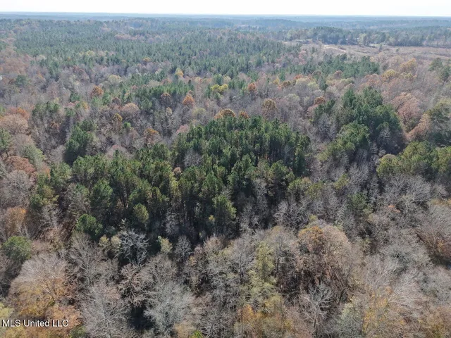 $492,000 | 0 Greenland Road, Little Rock, MS 39337