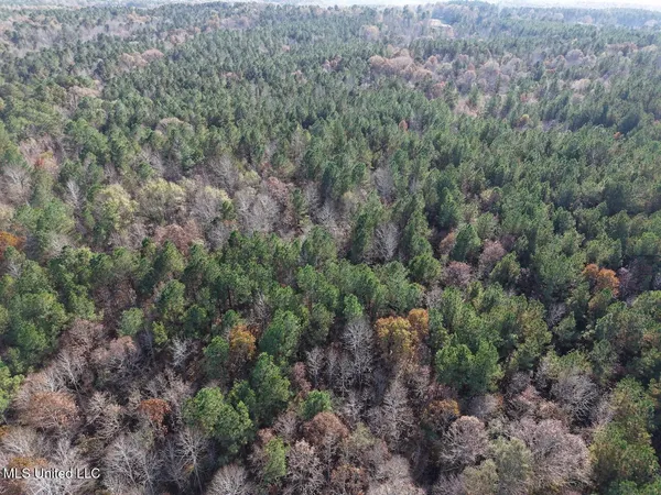 $492,000 | 0 Greenland Road, Little Rock, MS 39337
