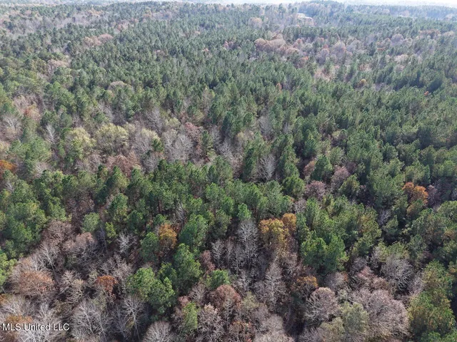 $492,000 | 0 Greenland Road, Little Rock, MS 39337