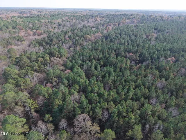 $492,000 | 0 Greenland Road, Little Rock, MS 39337