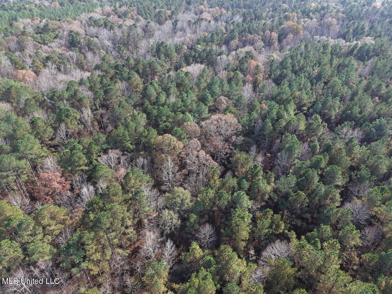 0 Greenland Road Little Rock, MS 39337 - Photo 16 of 40 dji_fly_20251122_133726_0099_17640148769