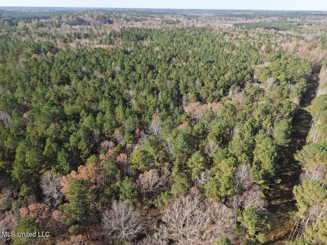 $492,000 | 0 Greenland Road, Little Rock, MS 39337