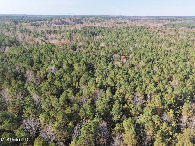 $492,000 | 0 Greenland Road, Little Rock, MS 39337