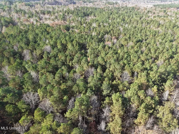 $492,000 | 0 Greenland Road, Little Rock, MS 39337