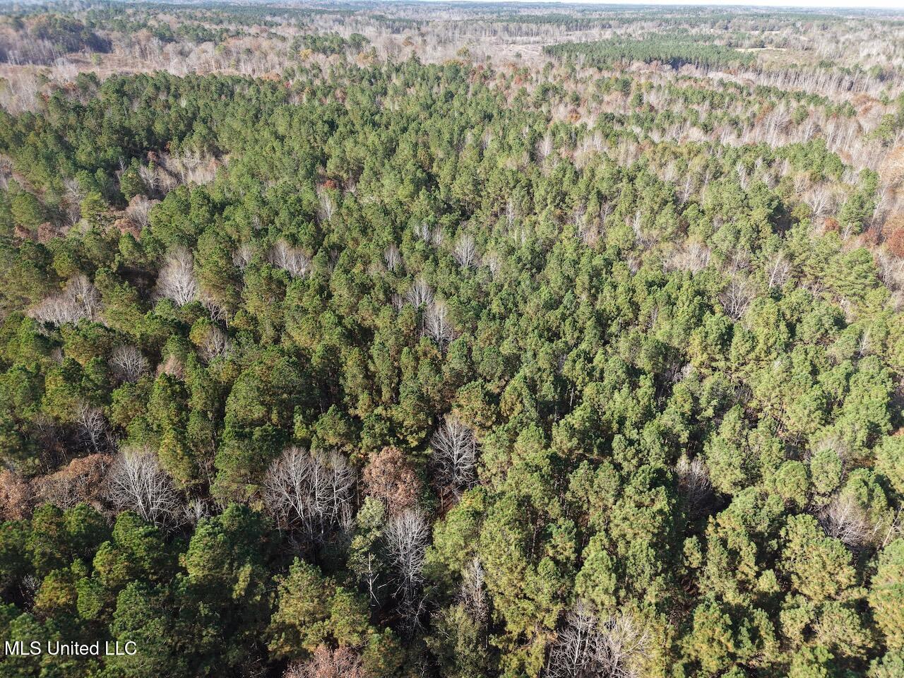 0 Greenland Road Little Rock, MS 39337 - Photo 20 of 40 dji_fly_20251122_134234_0103_17640148726
