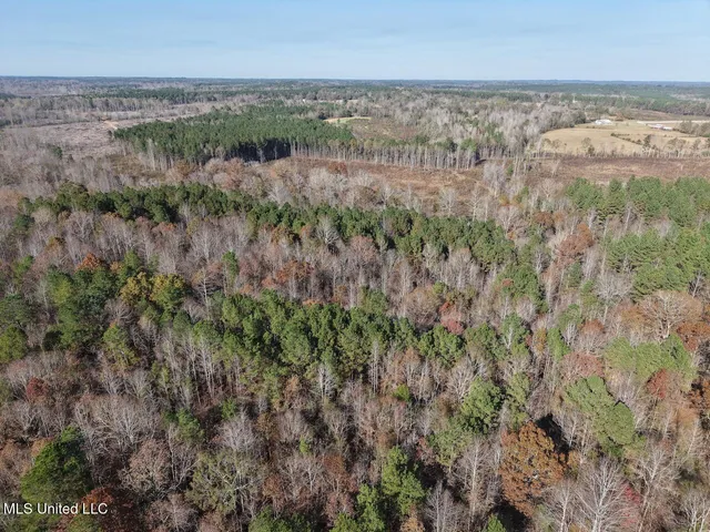 $492,000 | 0 Greenland Road, Little Rock, MS 39337