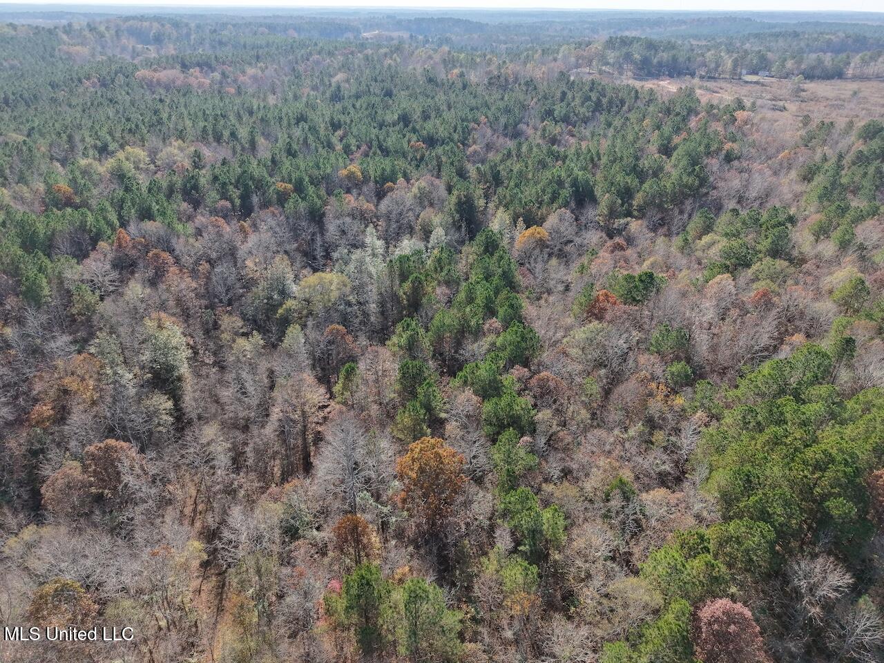 0 Greenland Road Little Rock, MS 39337 - Photo 22 of 40 dji_fly_20251122_134604_0105_17640148706